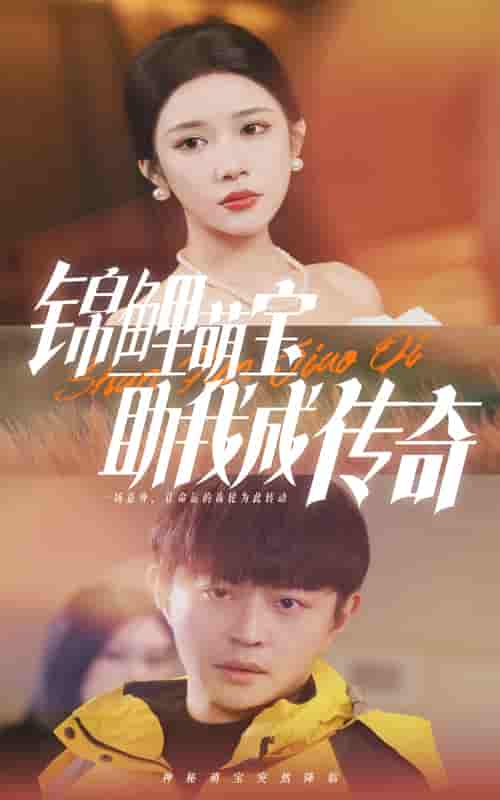 锦鲤萌宝助我成传奇