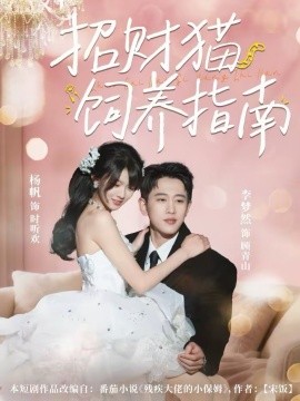 招财猫饲养指南