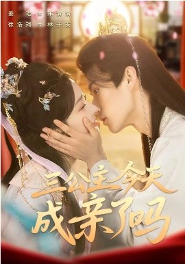 三公主今天成親了嗎