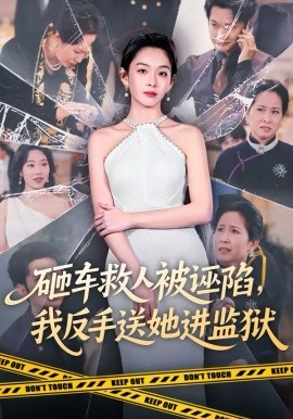 砸車救人被誣陷，我反手送她進監(jiān)獄