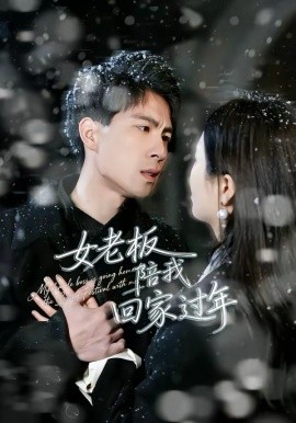 女老板陪我回家過年