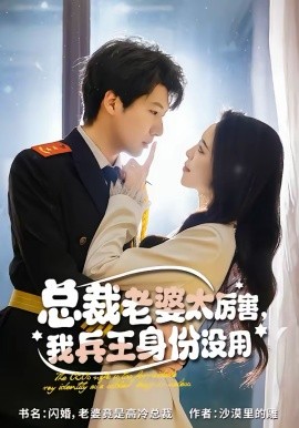 總裁老婆太厲害，我兵王身份沒(méi)用