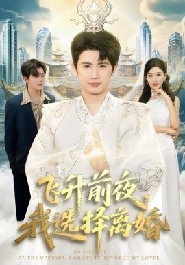 飛升前夜，我選擇離婚