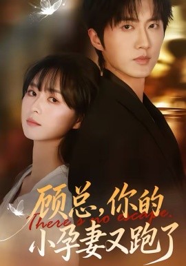 顧總，你的小孕妻又跑了