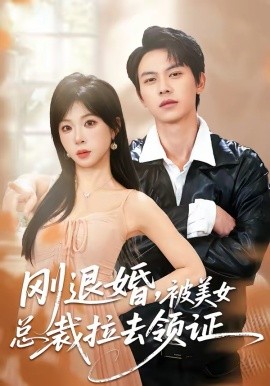 剛退婚，被美女總裁拉去領(lǐng)證