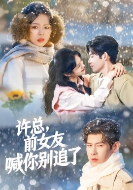 許總，前女友喊你別追了