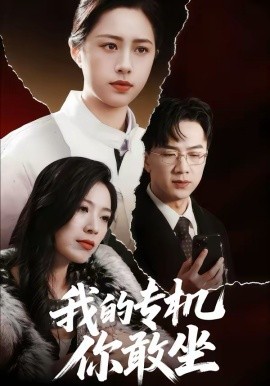 我的專機(jī)你敢坐