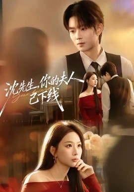 沈先生，你的夫人已下線