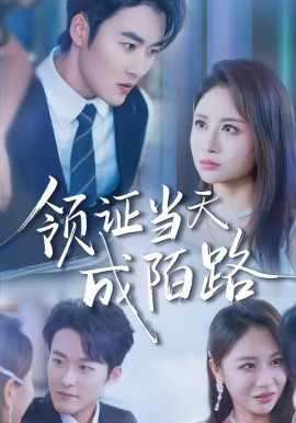 領(lǐng)證當(dāng)天成陌路