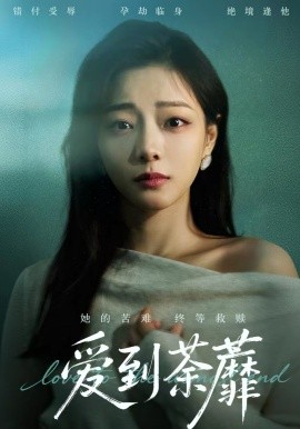 愛到荼蘼