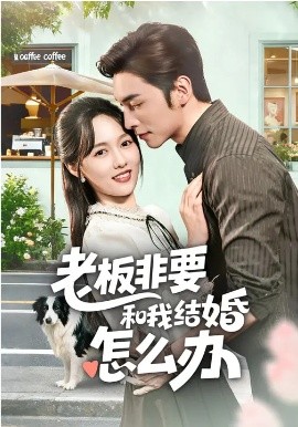 老板非要和我結(jié)婚怎么辦