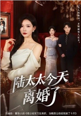 陸太太今天離婚了