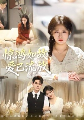 驚鴻如故，愛(ài)已流放