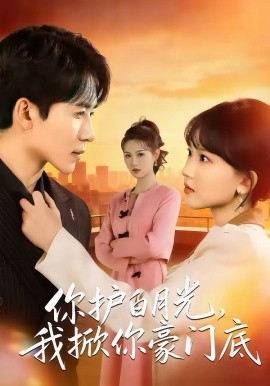 你護白月光，我掀你豪門底