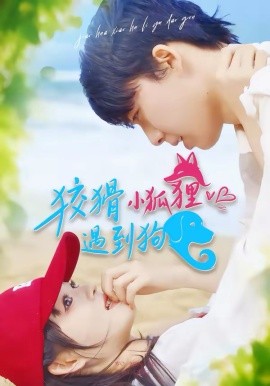 狡猾小狐貍遇到狗