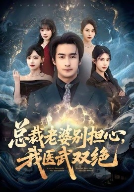 總裁老婆別擔(dān)心，我醫(yī)武雙絕