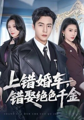 上錯(cuò)婚車，錯(cuò)娶絕色千金