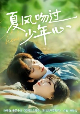 夏風吻過少年心