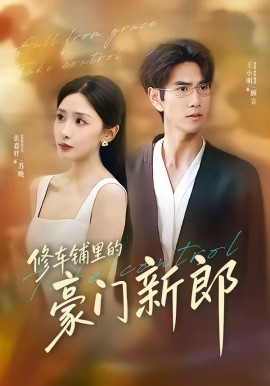 修車鋪里的豪門新郎
