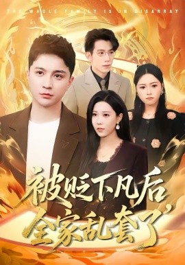 被貶下凡后全家亂套了