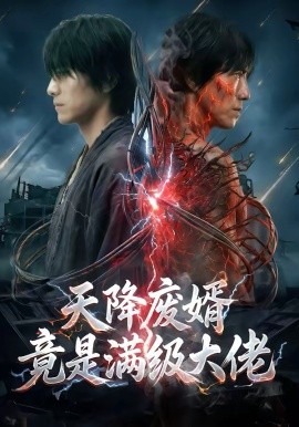 天降廢婿竟是滿級(jí)大佬