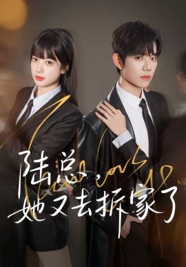 陸總，她又去拆家了