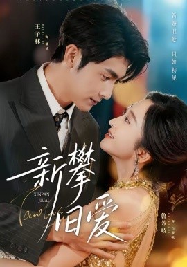 新攀舊愛