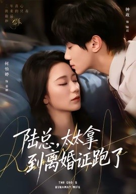 陸總，太太拿到離婚證跑了