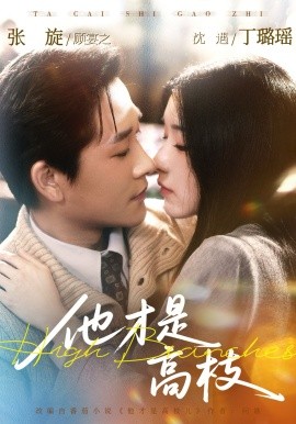 他才是高枝