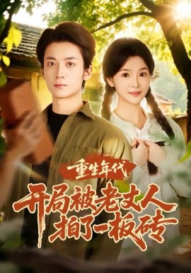 重生年代開局被老丈人拍了一板磚