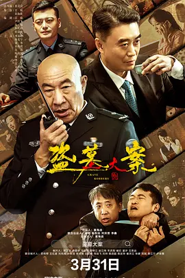 盜墓大案 追捕行動(dòng)