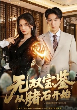 無雙寶鑒，從賭石開始