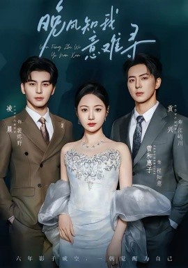 晚風知我意難尋