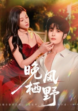 晚風(fēng)棲野
