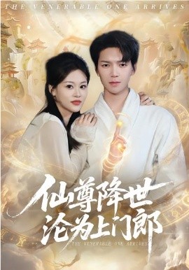 仙尊降世淪為上門郎