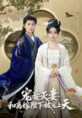 寵妾滅妻，和離嫁陛下被寵上天