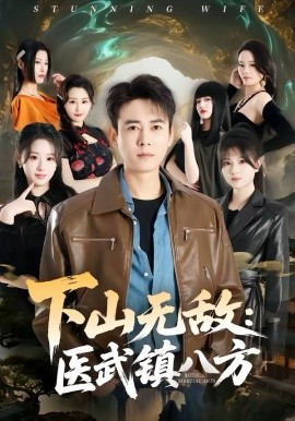 下山無(wú)敵：醫(yī)武鎮(zhèn)八方