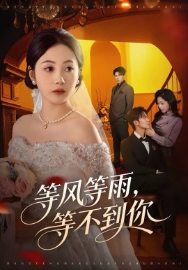 等風等雨，等不到你