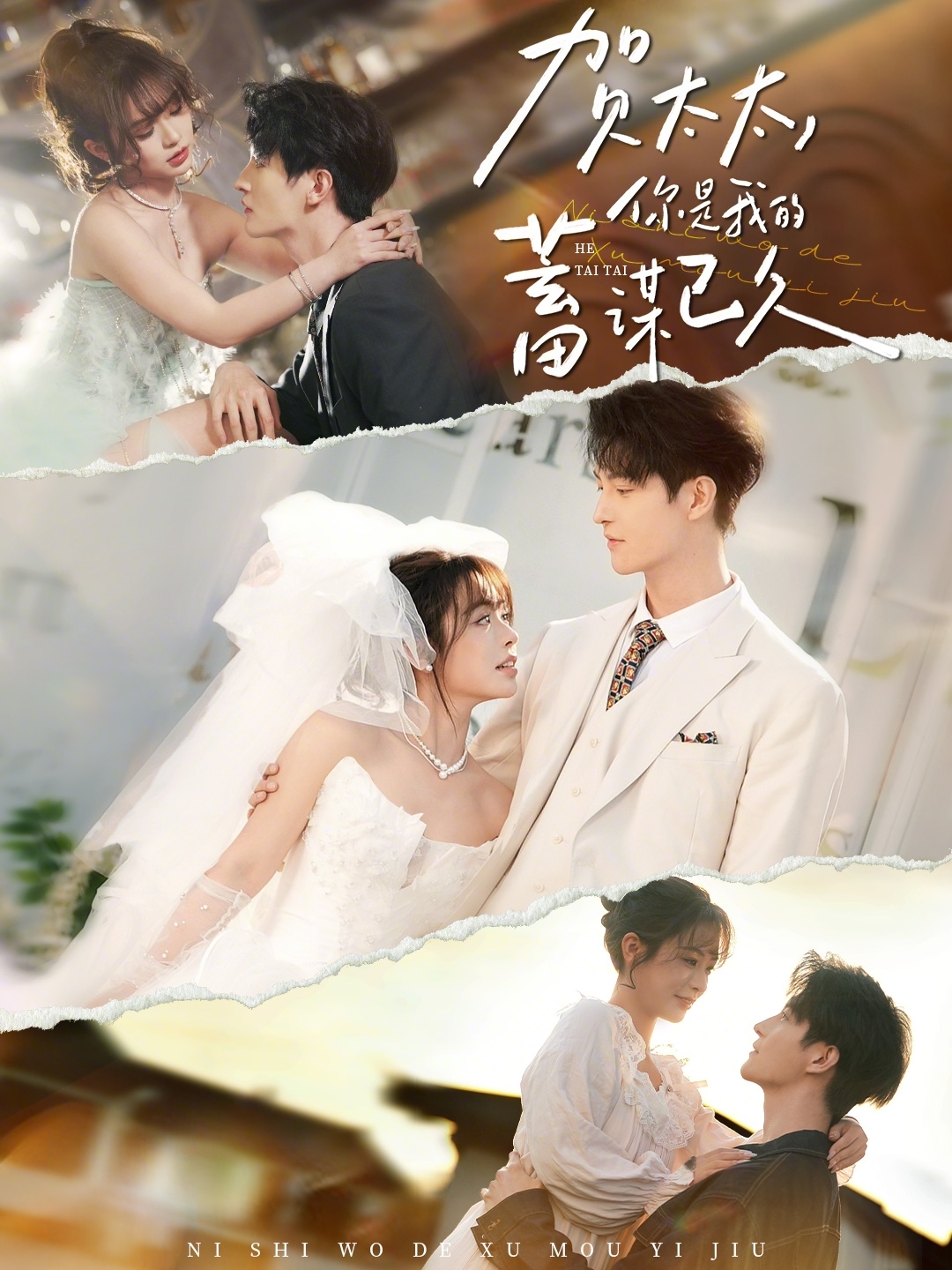 賀太太，你是我的蓄謀已久