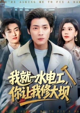 我就一水電工，你讓我修大壩