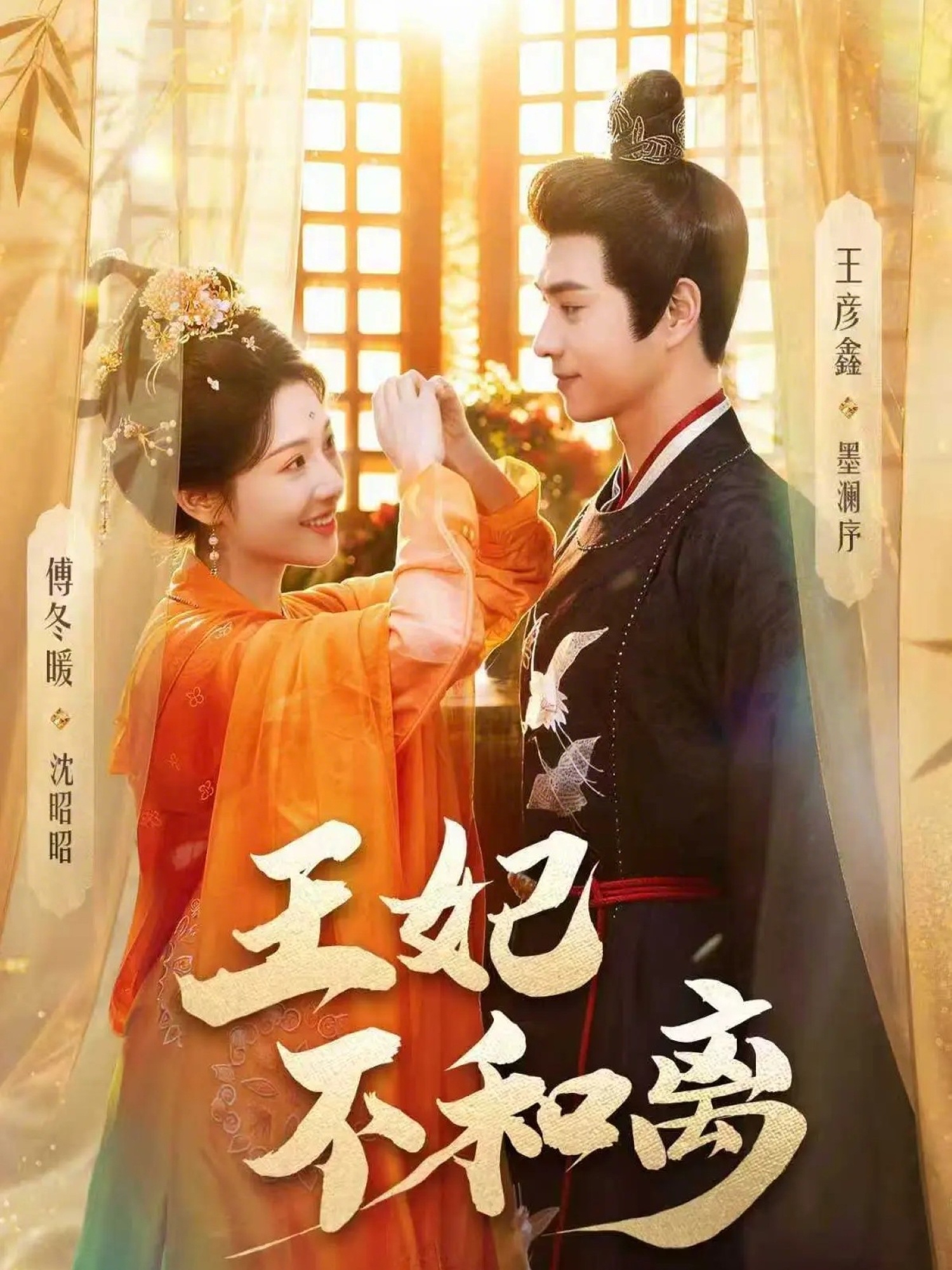 王妃不和離