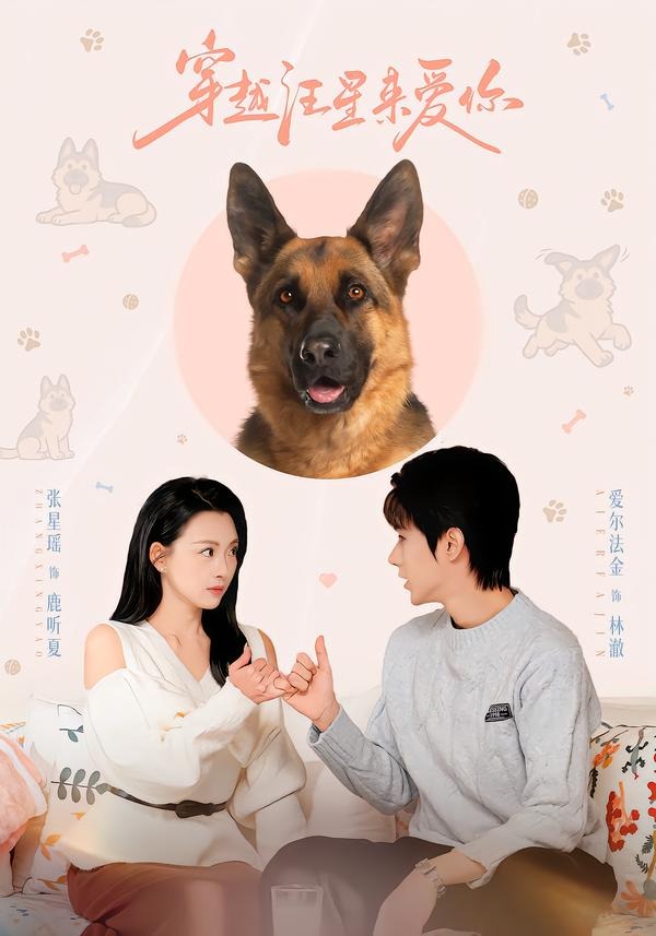 穿越汪星來愛你