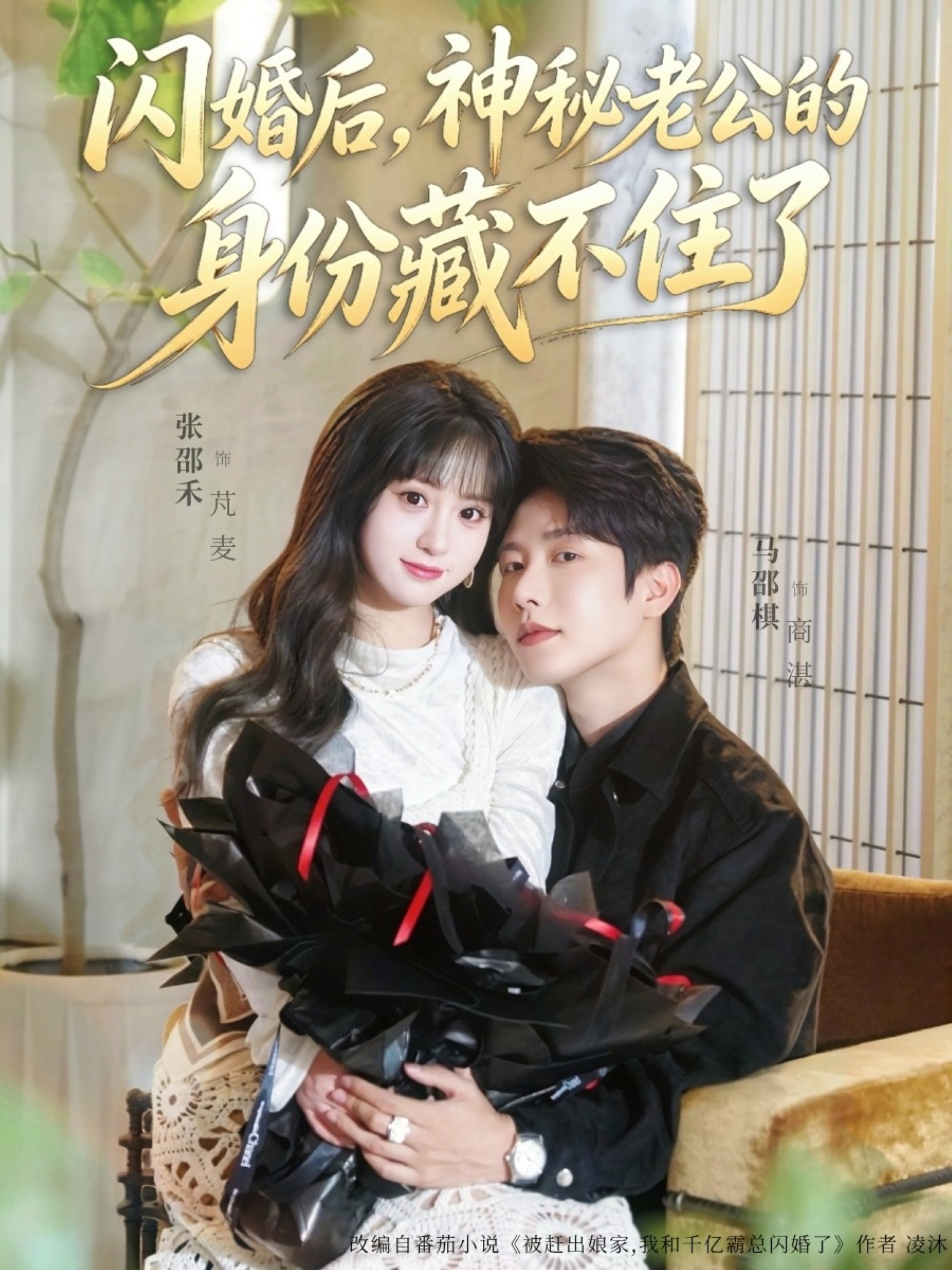 閃婚后，神秘老公的身份藏不住了